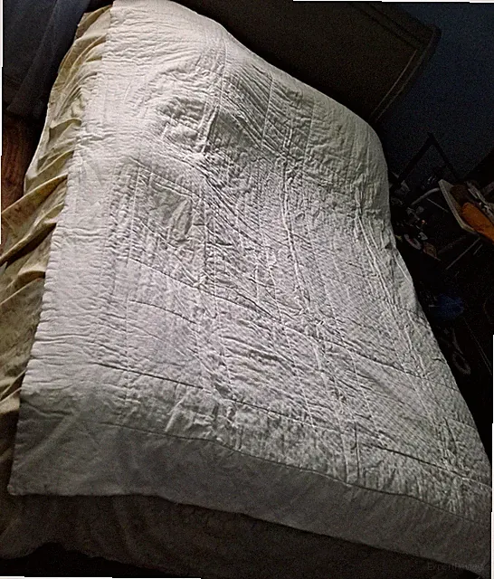 Nikken Twin Kenko Dream "Light" Comforter With Adaptive Sleep Technology 66x86